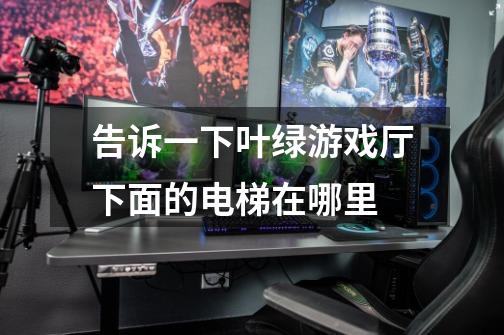 告诉一下叶绿游戏厅下面的电梯在哪里-第1张-游戏信息-龙启网