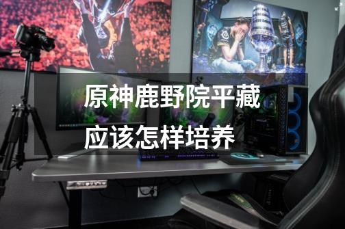 原神鹿野院平藏应该怎样培养-第1张-游戏信息-龙启网