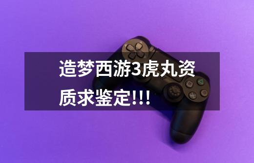 造梦西游3虎丸资质求鉴定!!!-第1张-游戏信息-龙启网