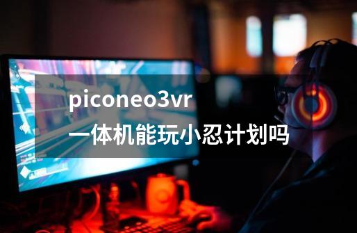 piconeo3vr一体机能玩小忍计划吗-第1张-游戏信息-龙启网
