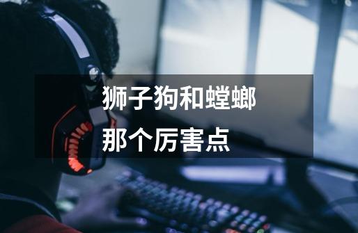 狮子狗和螳螂那个厉害点-第1张-游戏信息-龙启网