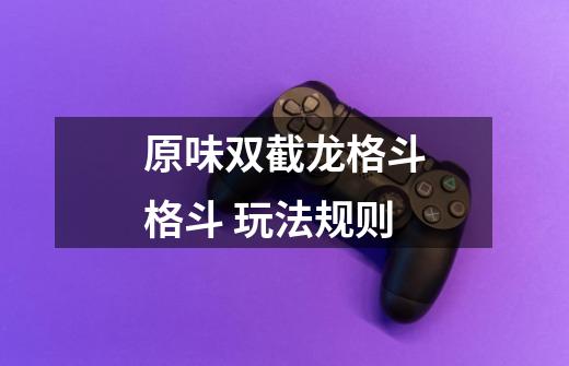 原味双截龙格斗格斗 玩法规则-第1张-游戏信息-龙启网