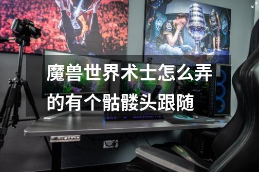 魔兽世界术士怎么弄的有个骷髅头跟随-第1张-游戏信息-龙启网