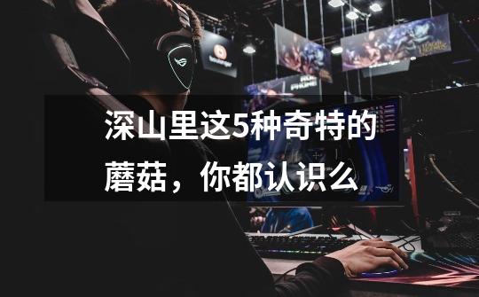 深山里这5种奇特的蘑菇,你都认识么-第1张-游戏信息-龙启网