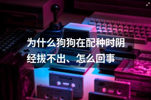 为什么狗狗在配种时阴经拔不出、怎么回事-第1张-游戏信息-龙启网