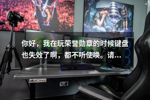 你好,我在玩荣誉勋章的时候键盘也失效了啊,都不听使唤。请问您后来是怎么解决的呢-第1张-游戏信息-龙启网