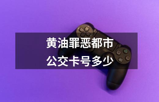 黄油罪恶都市公交卡号多少-第1张-游戏信息-龙启网
