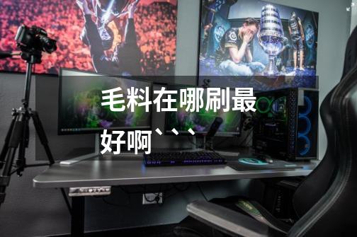 毛料在哪刷最好啊```-第1张-游戏信息-龙启网