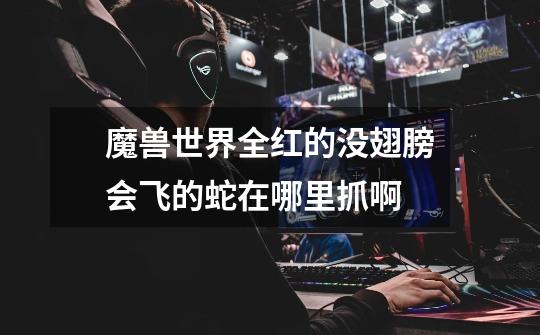 魔兽世界全红的没翅膀会飞的蛇在哪里抓啊-第1张-游戏信息-龙启网