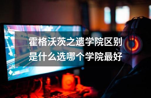 霍格沃茨之遗学院区别是什么选哪个学院最好-第1张-游戏信息-龙启网