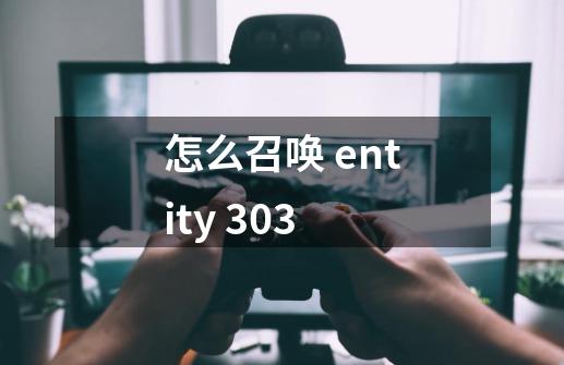 怎么召唤 entity 303-第1张-游戏信息-龙启网