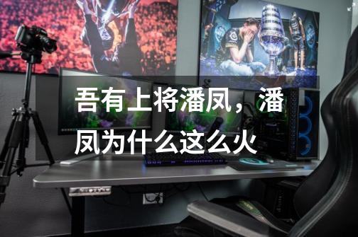 吾有上将潘凤,潘凤为什么这么火-第1张-游戏信息-龙启网