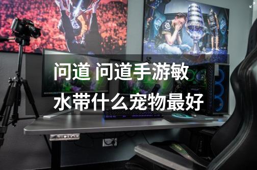 问道 问道手游敏水带什么宠物最好-第1张-游戏信息-龙启网