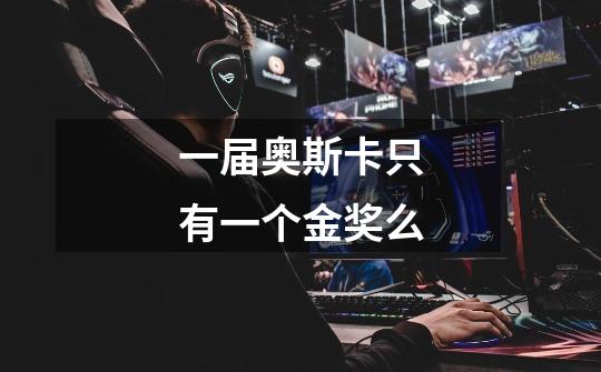 一届奥斯卡只有一个金奖么-第1张-游戏信息-龙启网