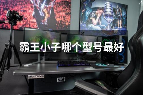 霸王小子哪个型号最好-第1张-游戏信息-龙启网