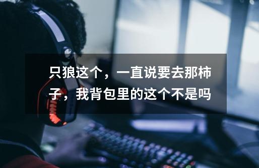 只狼这个，一直说要去那柿子，我背包里的这个不是吗-第1张-游戏信息-龙启网