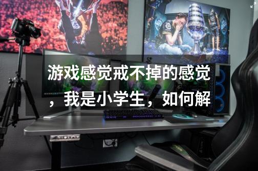 游戏感觉戒不掉的感觉,我是小学生,如何解-第1张-游戏信息-龙启网