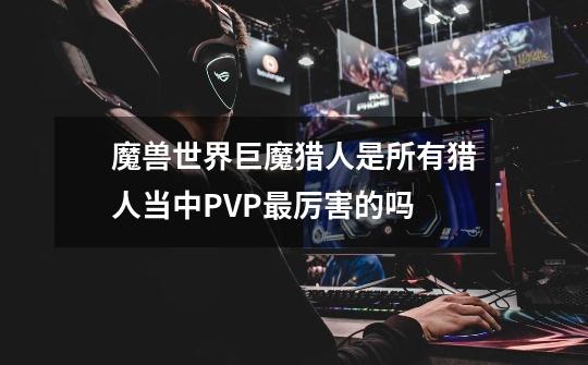 魔兽世界巨魔猎人是所有猎人当中PVP最厉害的吗-第1张-游戏信息-龙启网