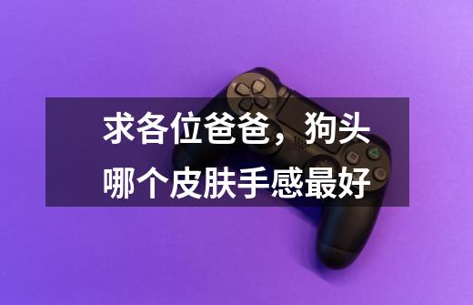 求各位爸爸,狗头哪个皮肤手感最好-第1张-游戏信息-龙启网