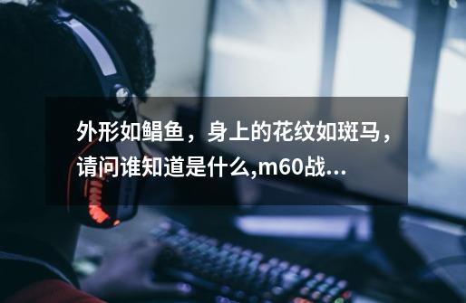 外形如鲳鱼,身上的花纹如斑马,请问谁知道是什么?,m60战神8枪身上的花纹是什么-第1张-游戏信息-龙启网