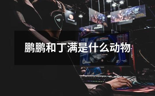 鹏鹏和丁满是什么动物-第1张-游戏信息-龙启网