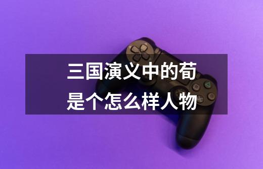 三国演义中的荀是个怎么样人物-第1张-游戏信息-龙启网