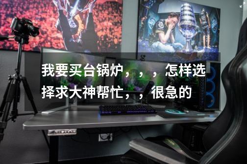 我要买台锅炉,,,怎样选择求大神帮忙,,很急的-第1张-游戏信息-龙启网