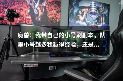 魔兽：我带自己的小号刷副本，队里小号越多我越得经验，还是相反-第1张-游戏信息-龙启网
