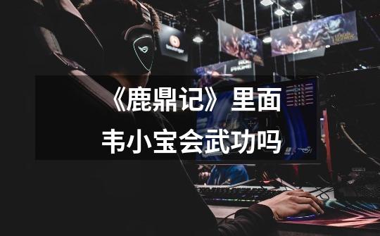 《鹿鼎记》里面韦小宝会武功吗-第1张-游戏信息-龙启网