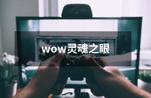 wow灵魂之眼-第1张-游戏信息-龙启网