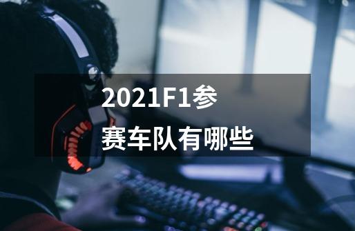 2021F1参赛车队有哪些-第1张-游戏信息-龙启网