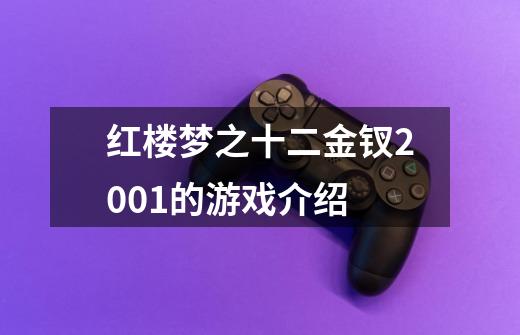 红楼梦之十二金钗2001的游戏介绍-第1张-游戏信息-龙启网