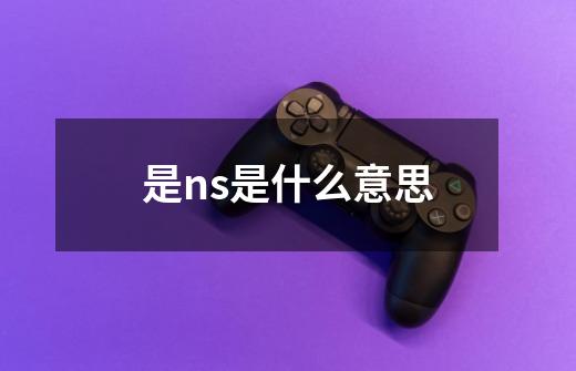 是ns是什么意思-第1张-游戏信息-龙启网