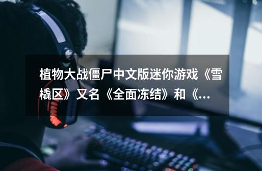植物大战僵尸中文版迷你游戏《雪橇区》又名《全面冻结》和《坚不可摧》又名《谁笑到最后》。求详细过关策略-第1张-游戏信息-龙启网