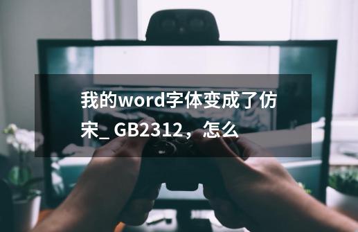 我的word字体变成了仿宋_ GB2312,怎么-第1张-游戏信息-龙启网