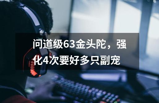 问道级63金头陀,强化4次要好多只副宠-第1张-游戏信息-龙启网