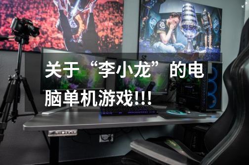 关于“李小龙”的电脑单机游戏!!!-第1张-游戏信息-龙启网