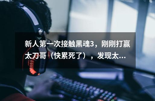 新人第一次接触黑魂3,刚刚打赢太刀哥(快累死了),发现太刀需要16点敏捷穿不上,要升级7点敏捷才行-第1张-游戏信息-龙启网