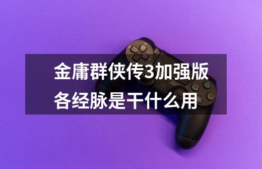 金庸群侠传3加强版各经脉是干什么用-第1张-游戏信息-龙启网