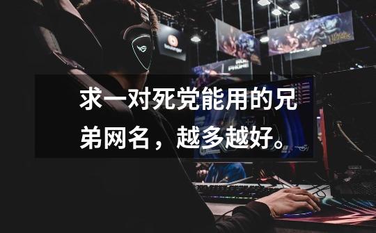 求一对死党能用的兄弟网名，越多越好。-第1张-游戏信息-龙启网