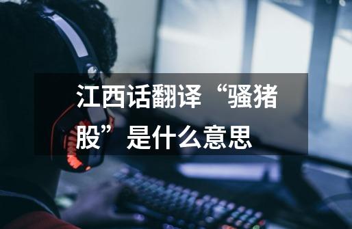 江西话翻译“骚猪股”是什么意思-第1张-游戏信息-龙启网
