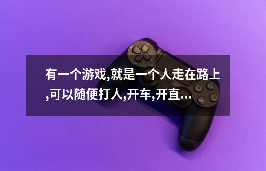 有一个游戏,就是一个人走在路上,可以随便打人,开车,开直升机的,是什么游戏-第1张-游戏信息-龙启网