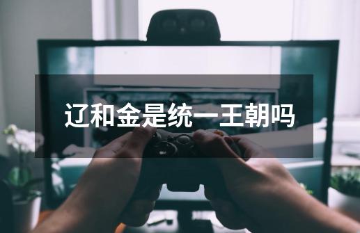 辽和金是统一王朝吗-第1张-游戏信息-龙启网
