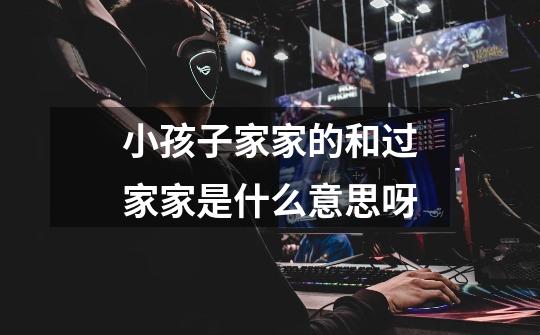 小孩子家家的和过家家是什么意思呀-第1张-游戏信息-龙启网