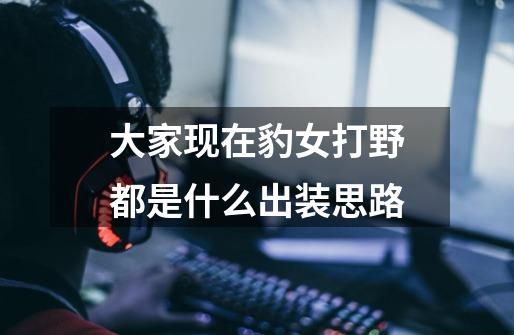 大家现在豹女打野都是什么出装思路-第1张-游戏信息-龙启网
