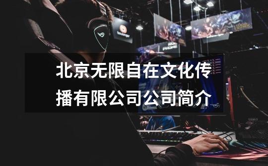 北京无限自在文化传播有限公司公司简介-第1张-游戏信息-龙启网