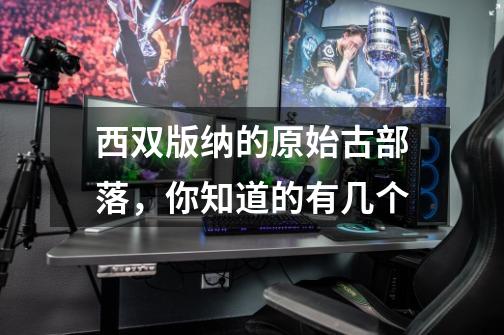 西双版纳的原始古部落,你知道的有几个-第1张-游戏信息-龙启网