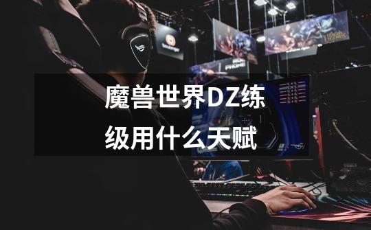 魔兽世界DZ练级用什么天赋-第1张-游戏信息-龙启网