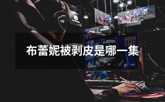 布蕾妮被剥皮是哪一集-第1张-游戏信息-龙启网
