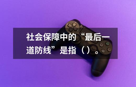 社会保障中的“最后一道防线”是指( )。-第1张-游戏信息-龙启网